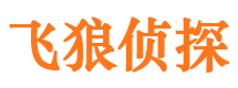 日喀则市调查公司